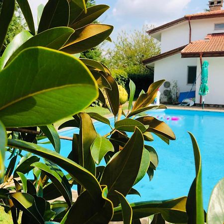 Villa Nymphea Water Lily Chisaria Zewnętrze zdjęcie