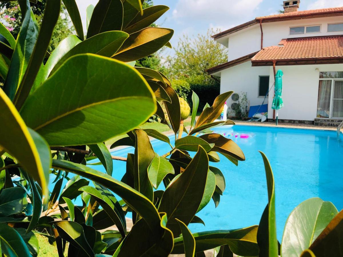 Villa Nymphea Water Lily Chisaria Zewnętrze zdjęcie
